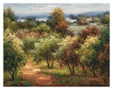 Buy Sun Dappled Country Road at AllPosters.com
