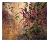 Botanical Secrets