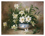 Spring Whites
