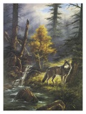 Timber Wolf Art Print