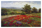 Buy Campo di Fiore II at AllPosters.com