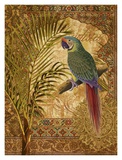 Paradisus IV