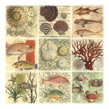 Buy Under The Sea I at AllPosters.com