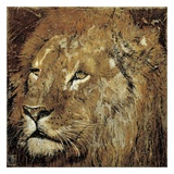 Portrait de Lion