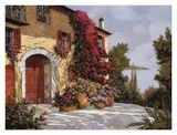 Bougainvillea