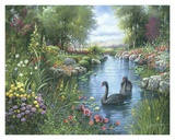 Buy Tranquil Waters at AllPosters.com