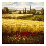 Buy Golden Harvest at AllPosters.com