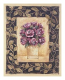 Buy Cabbage Rose at AllPosters.com