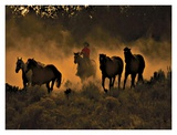 Buy Last Run at AllPosters.com