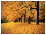 Buy Gold of Autumn West at AllPosters.com