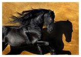 Buy Fabiano I at AllPosters.com