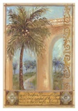Coconut Palm