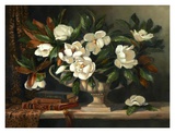 Buy Magnolias Revisit at AllPosters.com