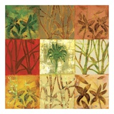 Buy Reef at AllPosters.com