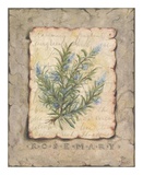 Buy Vintage Herbs, Rosemary at AllPosters.com