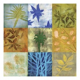 Buy Creation I at AllPosters.com
