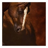Buy Horse Dancer (detail no. 4) at AllPosters.com