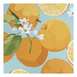 Fresh Oranges