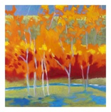 Buy Rainy Morning at AllPosters.com
