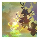Buy Orchid Shadows III at AllPosters.com