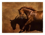 Adobe Dancer