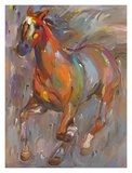 Stellar Steed