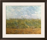 Wheat Field with a Lark