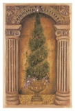 Cypress Niche
