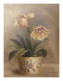 Buy Olivia's Flowers II at AllPosters.com