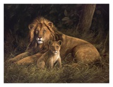 Buy Lion and Cub at AllPosters.com