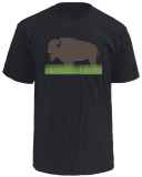 Buy Buffalo at AllPosters.com