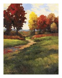 Late Noon Path II