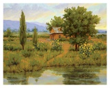 Buy Wild Sunflowers at AllPosters.com