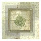 Buy Leaf Carre IV at AllPosters.com
