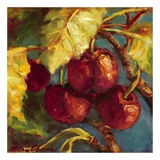 Wild Cherries