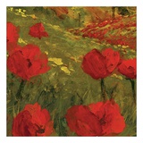Poppies of Toscano II, no. 14