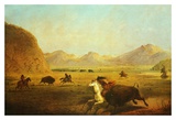 Buffalo Hunt