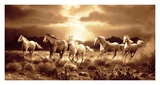 Buy Desert Run at AllPosters.com