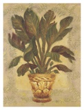Buy Banana Palm at AllPosters.com