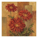 Buy Daisies Terra Cotta at AllPosters.com