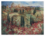 Fleur Rouge en Provence