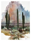 Buy Desert Patterns at AllPosters.com