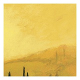 Buy Poppies of Toscano II, no. 4 at AllPosters.com