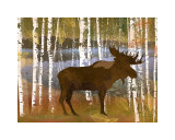 Moose