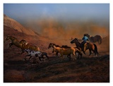 Buy Higher Ground at AllPosters.com