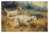 Two Setters