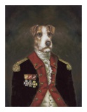 Master Rufus de Terrier