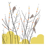 Morning Doves I