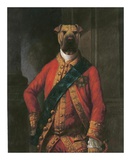 Sir Walter Bark