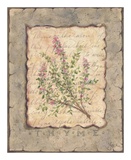 Buy Vintage Herbs, Thyme at AllPosters.com
